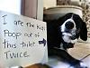 Click image for larger version. 

Name:	dog-shaming-04.jpg 
Views:	184 
Size:	30.1 KB 
ID:	15065