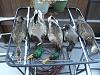 Click image for larger version. 

Name:	051.jpg 
Views:	27 
Size:	253.2 KB 
ID:	15411