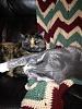 Click image for larger version. 

Name:	ImageUploadedByTapatalk1358134136.686984.jpg 
Views:	47 
Size:	168.0 KB 
ID:	19345