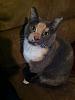 Click image for larger version. 

Name:	Lilly.jpg 
Views:	64 
Size:	128.3 KB 
ID:	19381