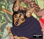 Click image for larger version. 

Name:	11.jpg 
Views:	22 
Size:	67.0 KB 
ID:	32065