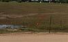 Click image for larger version. 

Name:	P-dog on wire.jpg 
Views:	302 
Size:	77.0 KB 
ID:	34081