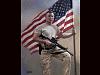 Click image for larger version. 

Name:	mcnaughton.jpg 
Views:	115 
Size:	60.5 KB 
ID:	34739
