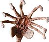 Click image for larger version. 

Name:	facehugger1.jpg 
Views:	48 
Size:	15.2 KB 
ID:	34915