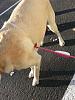 Click image for larger version. 

Name:	20131031_170550_zpsf87c8221.jpg 
Views:	234 
Size:	173.4 KB 
ID:	35851