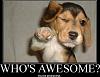 Click image for larger version. 

Name:	who-is-awesome.jpg 
Views:	21 
Size:	32.0 KB 
ID:	36367