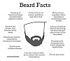 Click image for larger version. 

Name:	beard.png 
Views:	23 
Size:	60.7 KB 
ID:	38493
