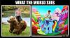 Click image for larger version. 

Name:	original.jpg 
Views:	306 
Size:	51.2 KB 
ID:	41539