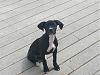Click image for larger version. 

Name:	20140330_132232_resized.jpg 
Views:	124 
Size:	194.0 KB 
ID:	42907