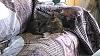 Click image for larger version. 

Name:	CatCamo.jpg 
Views:	37 
Size:	273.0 KB 
ID:	44165