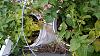 Click image for larger version. 

Name:	20140624_073940.jpg 
Views:	23 
Size:	282.8 KB 
ID:	46333