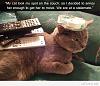 Click image for larger version. 

Name:	Funny-cat-couch-move.jpg 
Views:	206 
Size:	50.7 KB 
ID:	47401