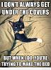 Click image for larger version. 

Name:	Funny-cat-under-covers.jpg 
Views:	201 
Size:	78.0 KB 
ID:	47403