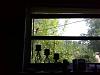 Click image for larger version. 

Name:	uploadfromtaptalk1407346032612.jpg 
Views:	122 
Size:	92.4 KB 
ID:	47993