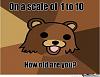 Click image for larger version. 

Name:	pedo-bear-on-a-scale-of-1-10.jpg 
Views:	225 
Size:	30.6 KB 
ID:	48977