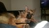 Click image for larger version. 

Name:	IMAG0536_BURST001.jpg 
Views:	152 
Size:	201.3 KB 
ID:	52877