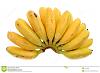 Click image for larger version. 

Name:	baby-banana-bunch-7044956.jpg 
Views:	56 
Size:	78.7 KB 
ID:	52987