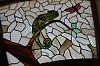 Click image for larger version. 

Name:	Study Window Chameleon.jpg 
Views:	36 
Size:	163.4 KB 
ID:	53553