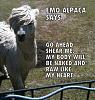 Click image for larger version. 

Name:	emo-alpaca-480x504.jpg 
Views:	626 
Size:	82.7 KB 
ID:	54233