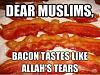 Click image for larger version. 

Name:	11233558_10206976968561545_660029774754500468_n.jpg 
Views:	196 
Size:	17.8 KB 
ID:	57989