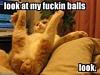 Click image for larger version. 

Name:	ImageUploadedByTapatalk1431708743.268871.jpg 
Views:	201 
Size:	9.9 KB 
ID:	58273