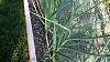 Click image for larger version. 

Name:	scapes.jpg 
Views:	26 
Size:	296.1 KB 
ID:	59023