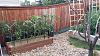 Click image for larger version. 

Name:	Rockymountailcorm.jpg 
Views:	23 
Size:	283.4 KB 
ID:	59389