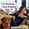 Click image for larger version. 

Name:	The Dog.jpg 
Views:	182 
Size:	46.5 KB 
ID:	59562