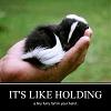 Click image for larger version. 

Name:	11899747_1628254867431393_1035106201302812853_n.jpg 
Views:	184 
Size:	16.5 KB 
ID:	60584