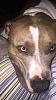 Click image for larger version. 

Name:	ImageUploadedByTapatalk1441945322.682104.jpg 
Views:	30 
Size:	232.6 KB 
ID:	60873