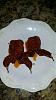 Click image for larger version. 

Name:	first quail feast.jpg 
Views:	102 
Size:	246.4 KB 
ID:	63225