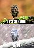 Click image for larger version. 

Name:	FB_IMG_1458749567791.jpg 
Views:	206 
Size:	61.4 KB 
ID:	64539