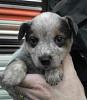 Click image for larger version. 

Name:	uploadfromtaptalk1458915442684.jpg 
Views:	64 
Size:	21.9 KB 
ID:	64572