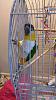 Click image for larger version. 

Name:	2016-04-17.jpg 
Views:	25 
Size:	38.6 KB 
ID:	64972