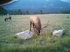 Click image for larger version. 

Name:	20120919070936.jpg 
Views:	129 
Size:	198.5 KB 
ID:	65852