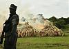 Click image for larger version. 

Name:	ivory burning.jpg 
Views:	105 
Size:	38.5 KB 
ID:	65940
