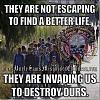 Click image for larger version. 

Name:	ATT00017.jpeg 
Views:	215 
Size:	117.7 KB 
ID:	66127