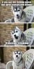 Click image for larger version. 

Name:	Streaking.jpg 
Views:	264 
Size:	65.1 KB 
ID:	66202
