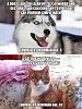 Click image for larger version. 

Name:	42yearoldcat.jpg 
Views:	258 
Size:	230.1 KB 
ID:	66376