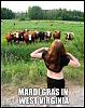 Click image for larger version. 

Name:	ATT00005.jpg 
Views:	224 
Size:	50.5 KB 
ID:	66712