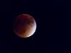 Click image for larger version. 

Name:	IMG_0090.JPG 
Views:	54 
Size:	226.4 KB 
ID:	67943