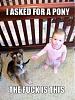 Click image for larger version. 

Name:	baby asked for a pony got a dog.jpeg 
Views:	220 
Size:	61.4 KB 
ID:	69371