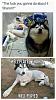 Click image for larger version. 

Name:	IMG_0343.JPG 
Views:	201 
Size:	119.0 KB 
ID:	69537
