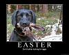 Click image for larger version. 

Name:	easter bunny aint comin.jpg 
Views:	212 
Size:	77.0 KB 
ID:	70186