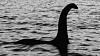 Click image for larger version. 

Name:	Nessie.jpg 
Views:	32 
Size:	14.2 KB 
ID:	72429