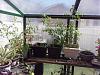 Click image for larger version. 

Name:	greenhouse.jpg 
Views:	64 
Size:	153.5 KB 
ID:	72921
