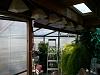Click image for larger version. 

Name:	greenhouse 3.jpg 
Views:	64 
Size:	102.4 KB 
ID:	72923