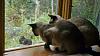 Click image for larger version. 

Name:	Wildlife-up-close-9-17-17.jpg 
Views:	184 
Size:	198.3 KB 
ID:	73293