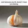 Click image for larger version. 

Name:	mfdt-funny-meme-dec9p-14.jpg 
Views:	220 
Size:	56.5 KB 
ID:	73419