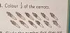 Click image for larger version. 

Name:	color half the carrots.jpg 
Views:	226 
Size:	90.2 KB 
ID:	73866